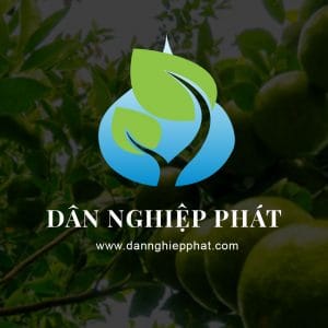 Nơi nhập dữ liệu